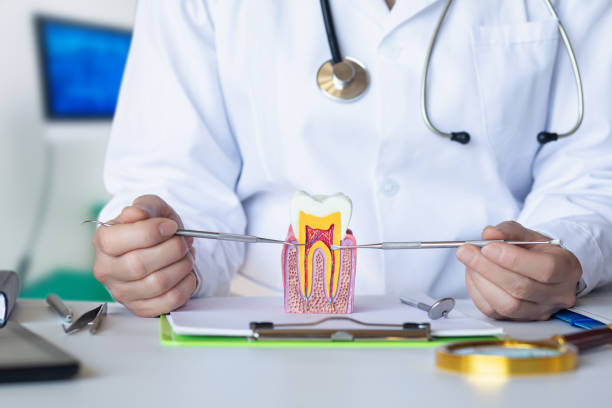 Best Dental Abscess Treatment in Kahoka, MO